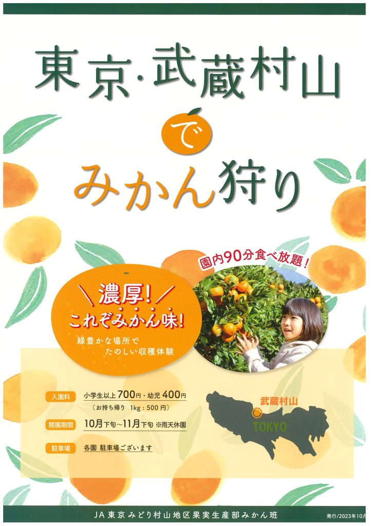 甘さと酸味の中に濃厚な味わい「東京狭山みかん」 | 武蔵村山観光 